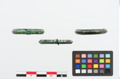 Foto von Bronzering (NHMW-PRAE-024799)
